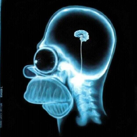 homer-simpson