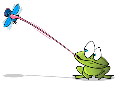 sapo-comendo-mosca