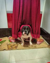 12407578_192491234438507_1272304869_n