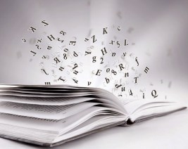 escrita e gramática