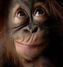 986bc0c740663ecc8725064ba0194516